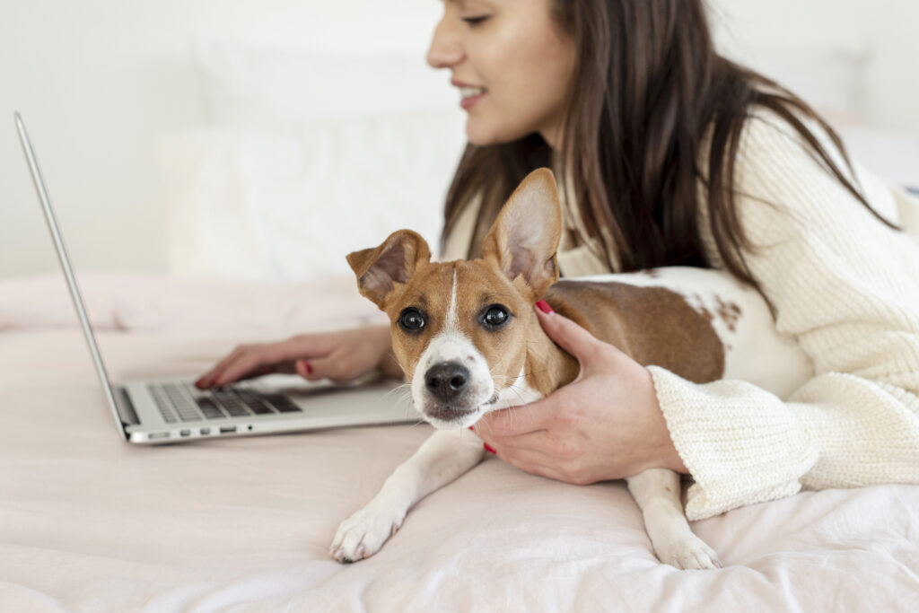 assegurances personalitzades